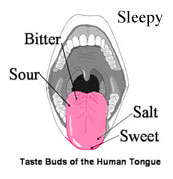 tasteBuds.jpg
