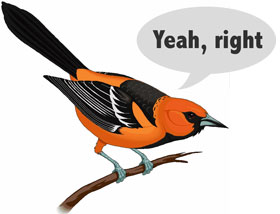 ORIOLE_yeah_right.jpg