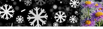 snowflakeToAster.jpg