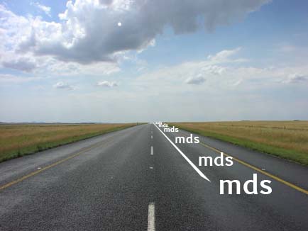 MDS_theLongRoad.jpg