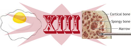 xiii.jpg
