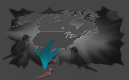 goBirds.jpg goBirds.jpg