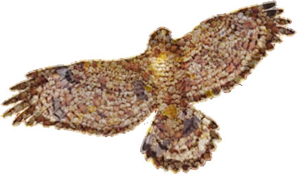 birdSeedBird.jpg