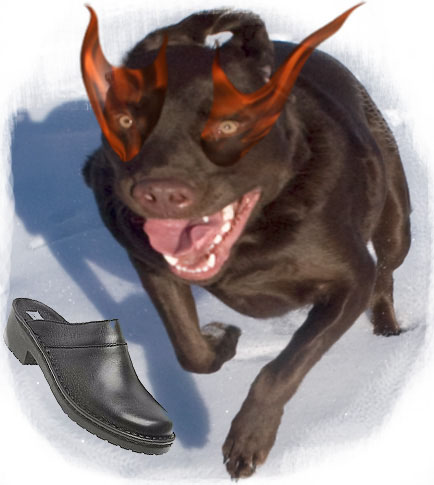 AlphieIsHungry.jpg