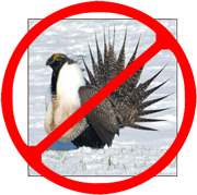noGrouse.jpg
