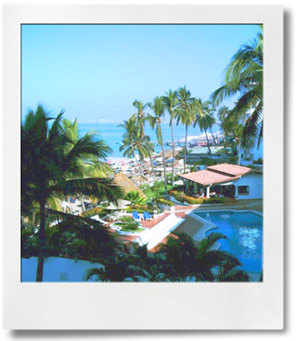 windowView.jpg
