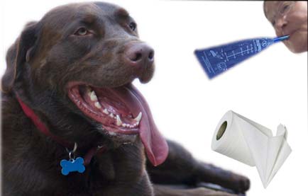 alphieTongueAndPaper.jpg