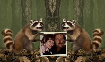 raccoonVandals.jpg