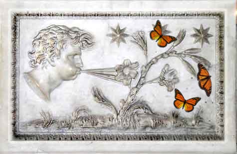 aeolus_butterfly