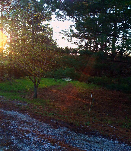 autumn-for-blog