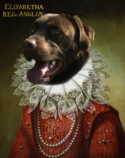 alphie_collar