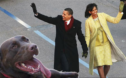 alphie_and_the_obamas