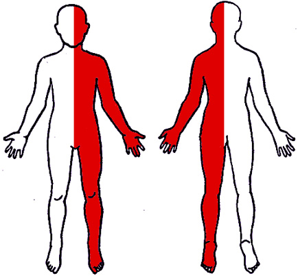 blood_transfusion