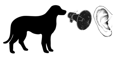 dog_woofs_in_ear