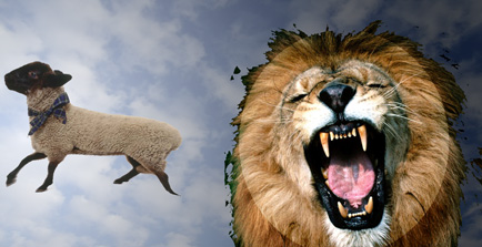 lion_lamb
