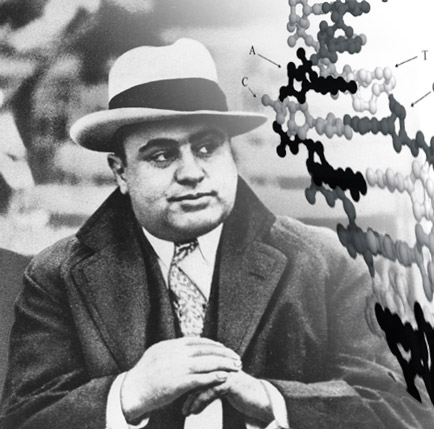 capone_dna