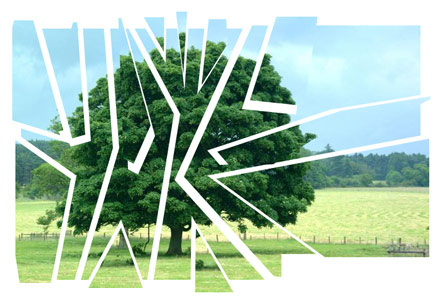 cut_up_tree