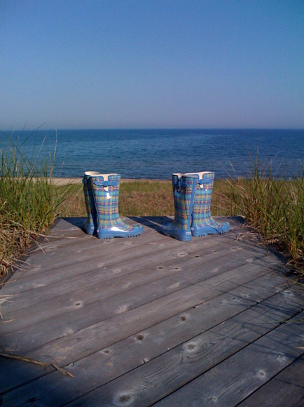wellies