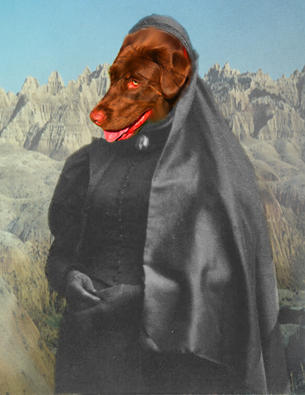 alphie_in_mourning