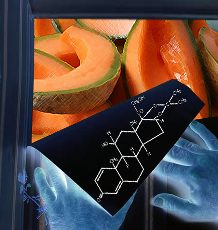 canteloupe-wallpaper