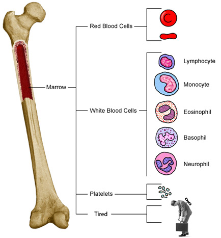 bone_tired