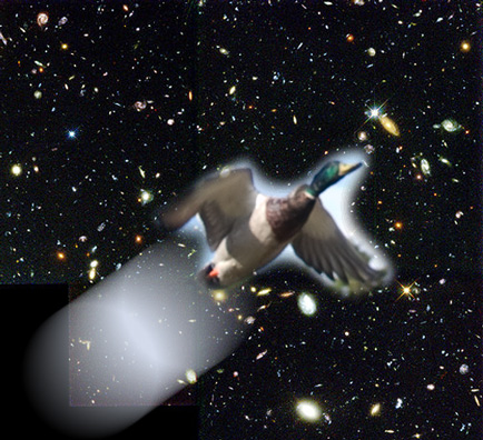 deep_space_duck