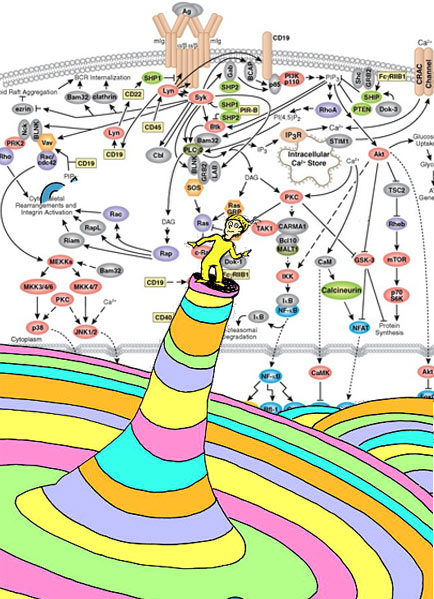 oh_the_places