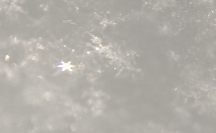 snowflake_in_nebraska