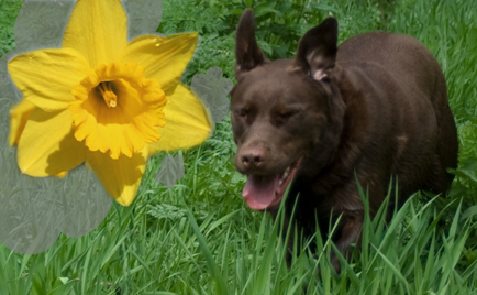 alphie_imagines_warm_weather