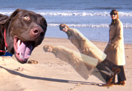 oh_alphie_falling_forward