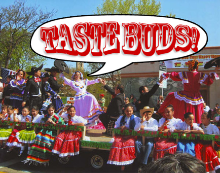 taste_buds